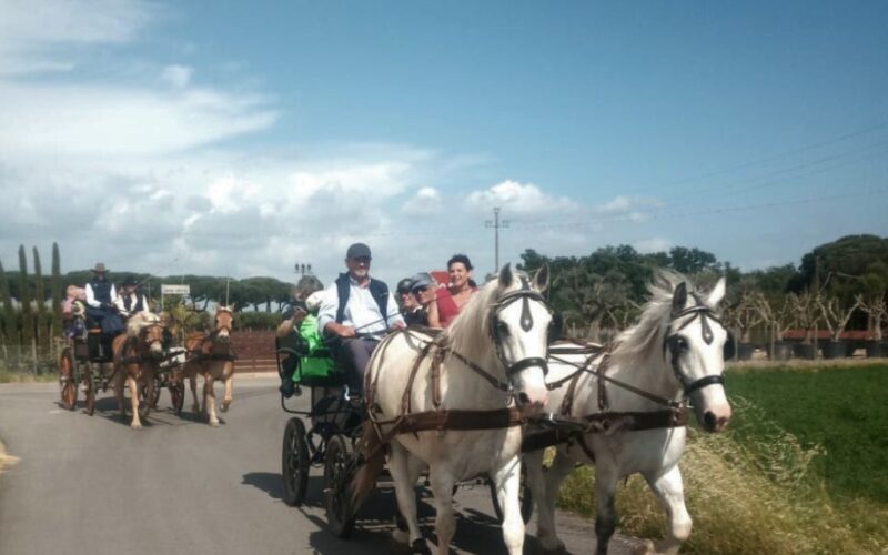 Giro turistico 2 - Le Carrozze di Alfredo