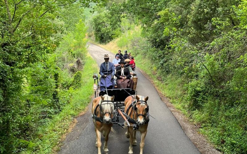 Giro turistico 5 - Le Carrozze di Alfredo