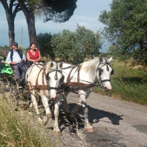 Lacaioli Pozzuolo - Le Carrozze di Alfredo