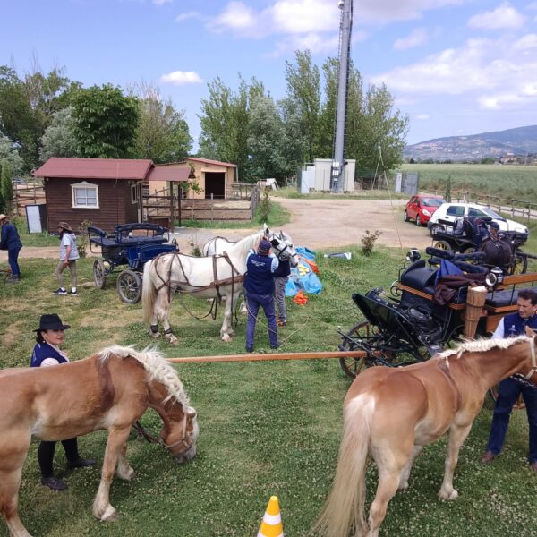 Paradriving Umbria 3 (5)