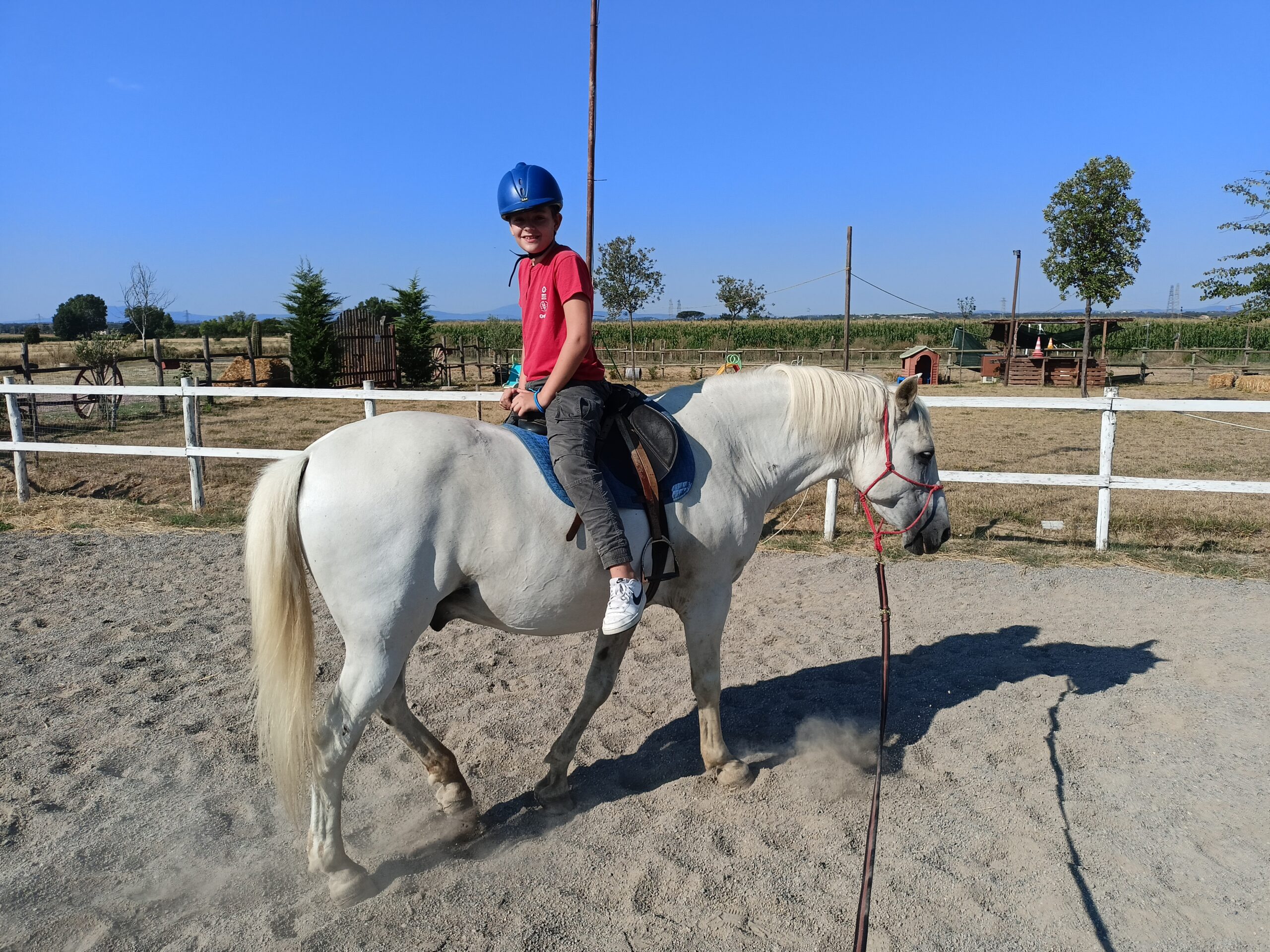 lezione di equitazione - esercizi di equilibrio - giro 360 gradi